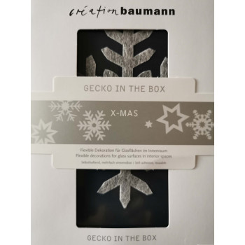 Gecko in the Box - X-Mas